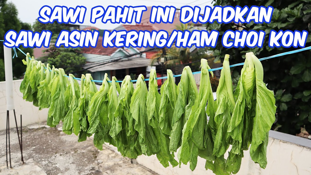 SAWI PAHIT INI DIJADIKAN SAWI ASIN KERING / HAM CHOI KON / MOI CHOI