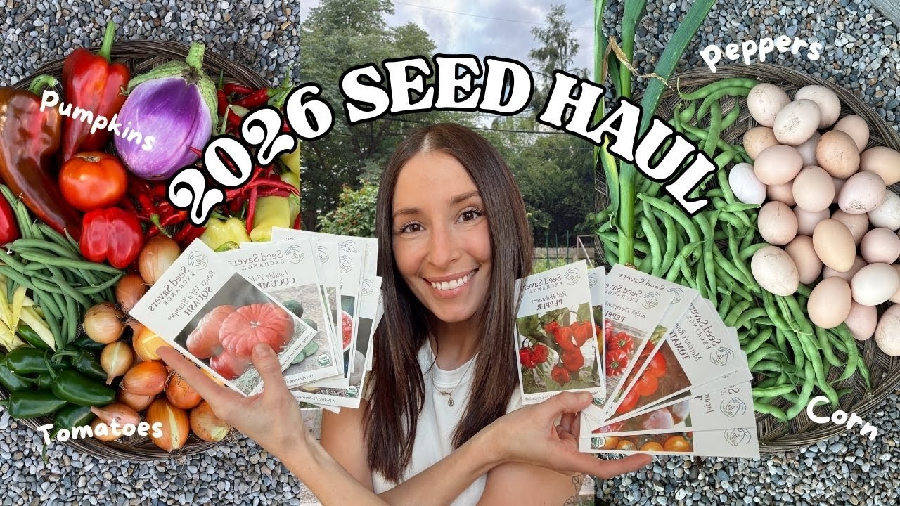 Everything I'm Growing in my 2026 Garden! Favorite seeds and some new ones!