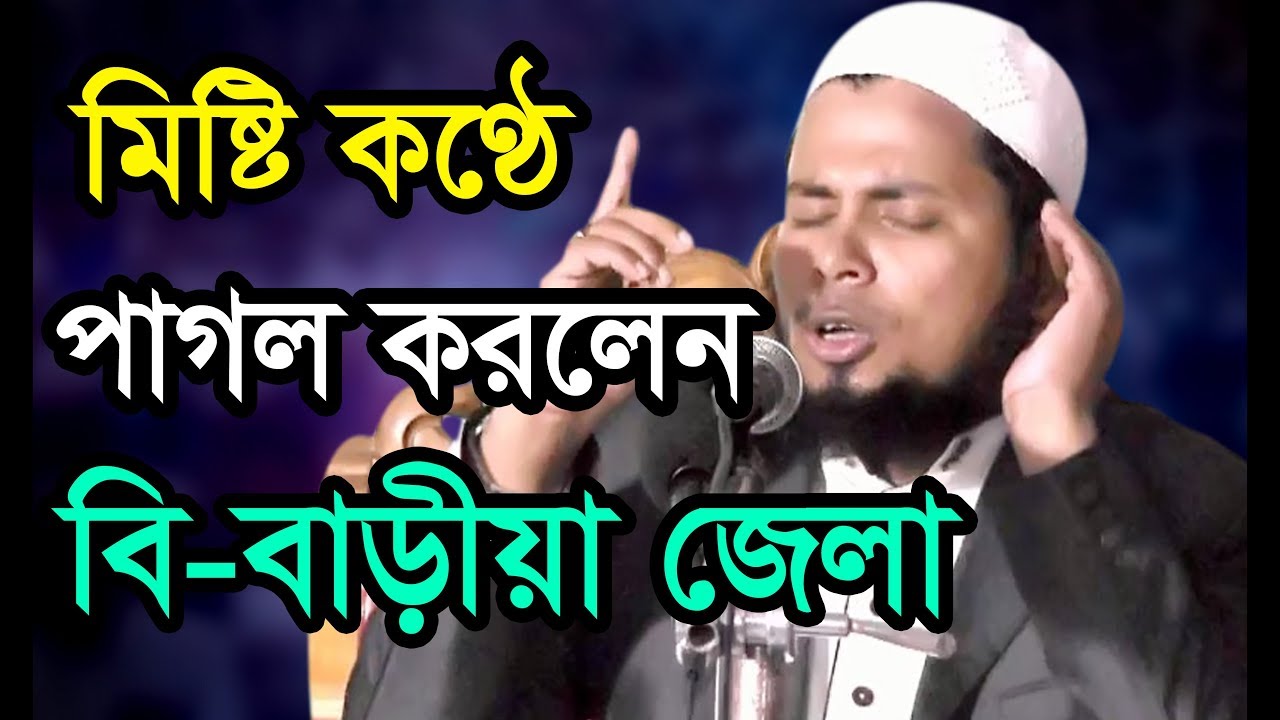 মিষ্টি কণ্ঠে পাগল করলেন বি-বাড়ীয়া জেলা।New Waz Mawlana Delwar Hossain Taherpuri Dhaka