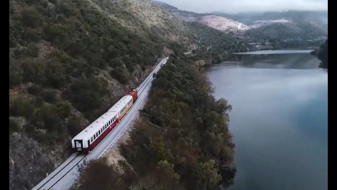 Peace train 