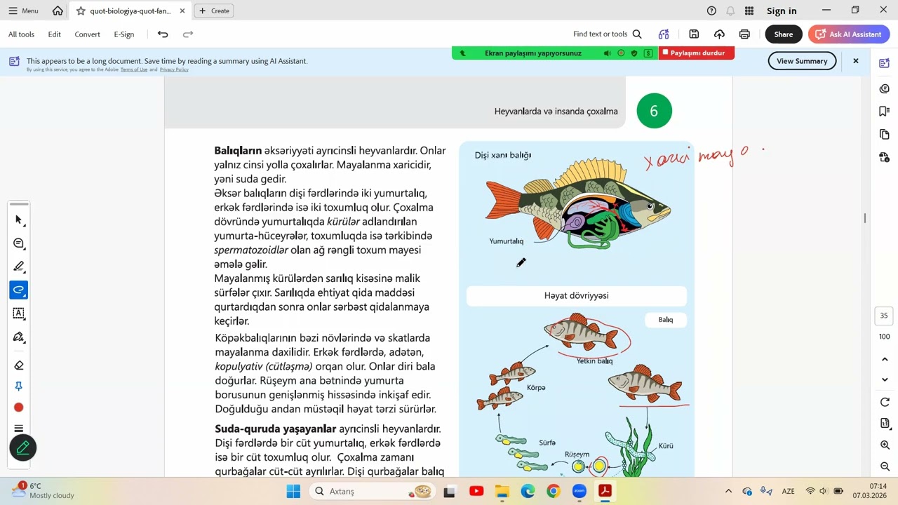 8 sinif biologiya 6.3 Onurgalı heyvanların həyat dövriyyəsi