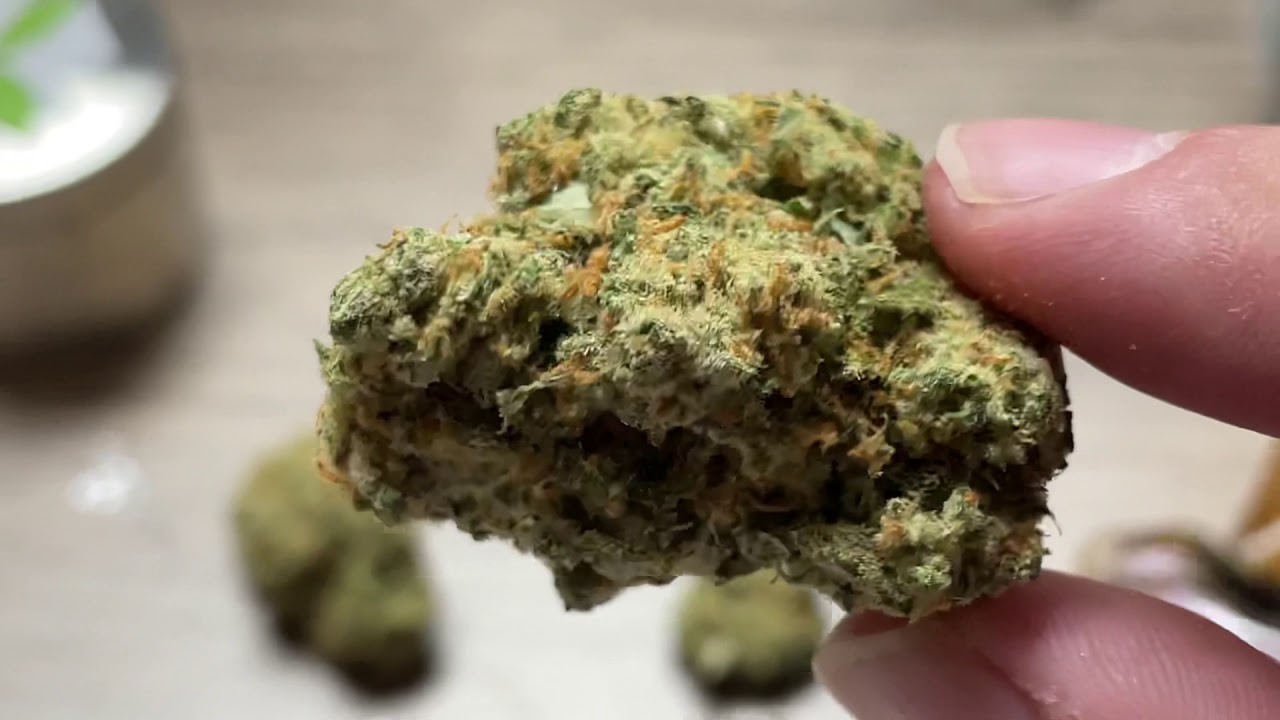 Jack Herer- Aerīz