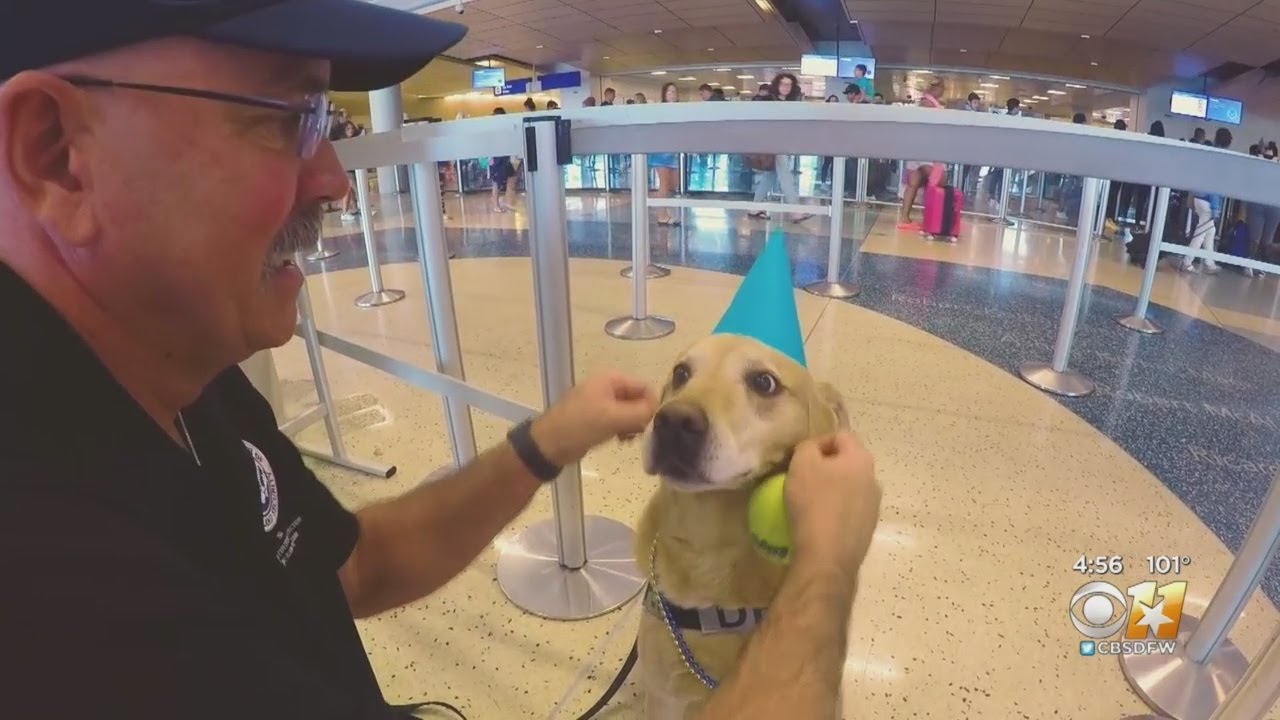 Happy Retirement! Veteran TSA K-9 Officers Retire