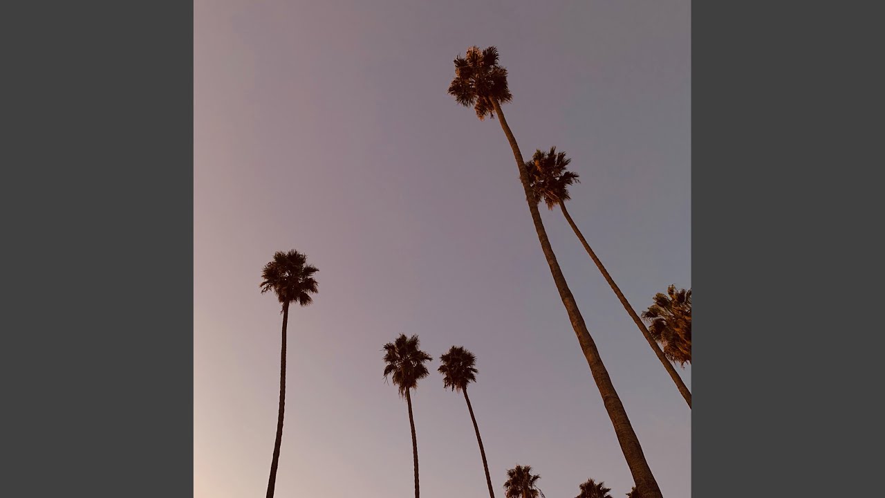 写在风中的信