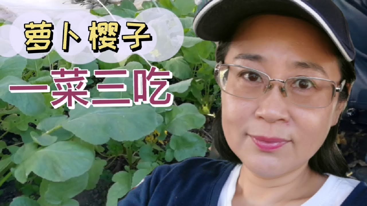 萝卜缨子营养丰富，做法简单好吃，尤其适合结石痛风病人吃。扔掉实在太可惜。