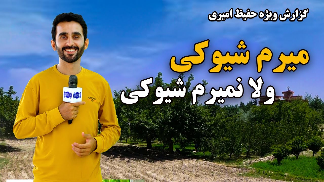 میرم شیوه‌کی ولا نمیرم شوه‌کی، گزارش حفیظ امیری