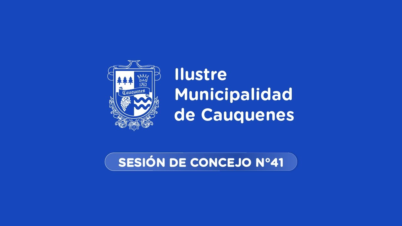 Sesión Ordinaria de Concejo Municipal N° 41