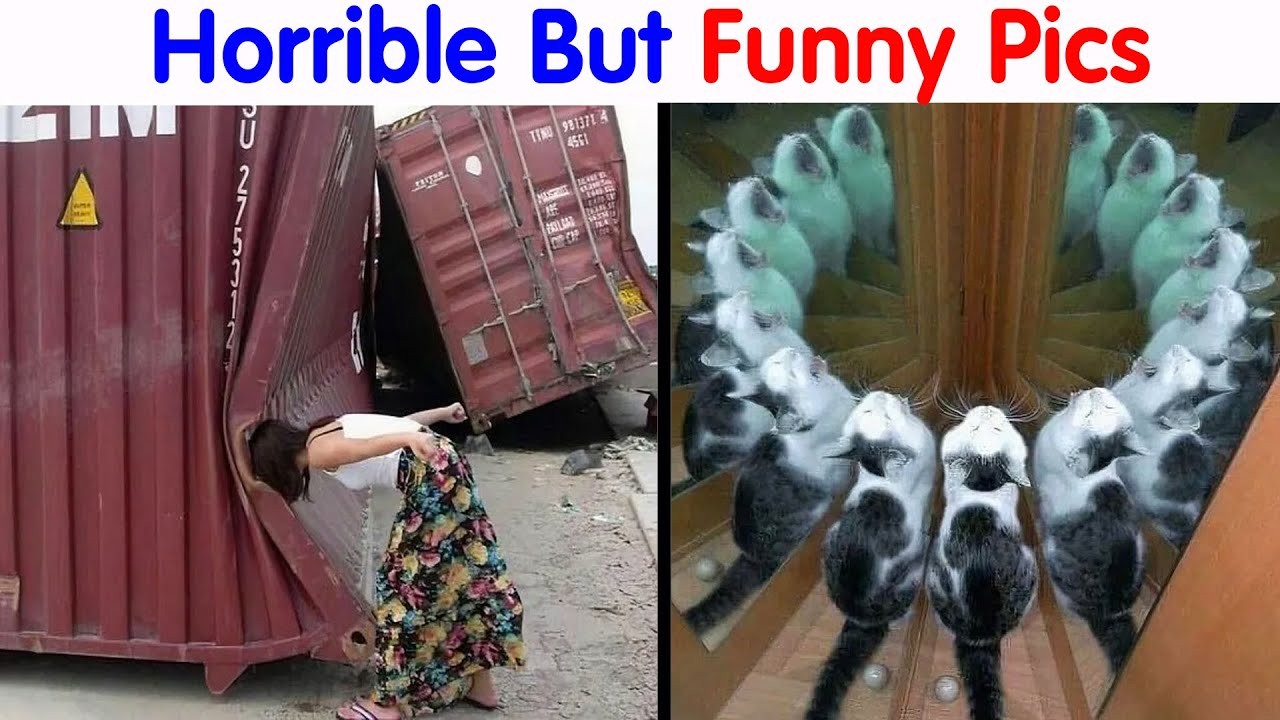 Horrible But Funny Pics That Might Make You Uncomfortable