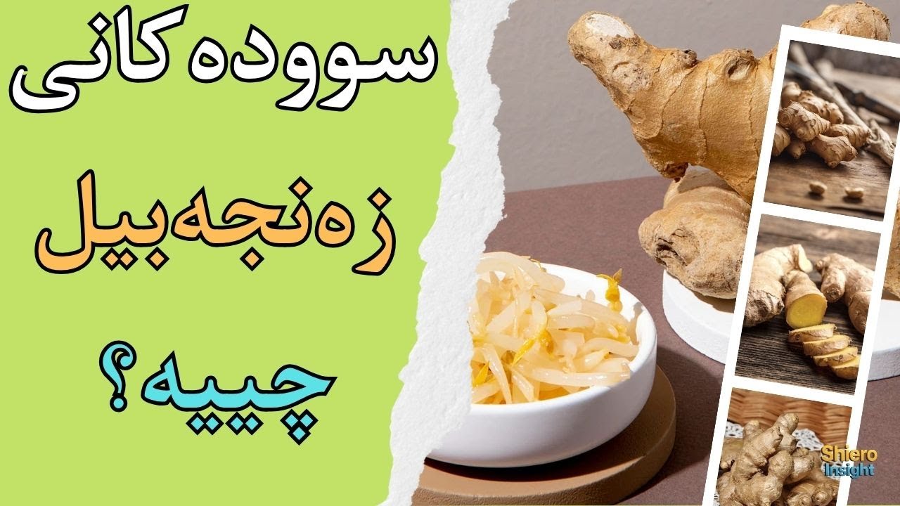 سوودەکانی زەنجەبیل-زەنجەفیل-زەنجەفێڵ چییە؟