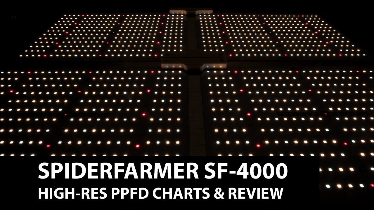 Обзор Spiderfarmer SF-4000 (результаты PPFD высокого разрешения для 10 высот + тесты температуры и мощности)