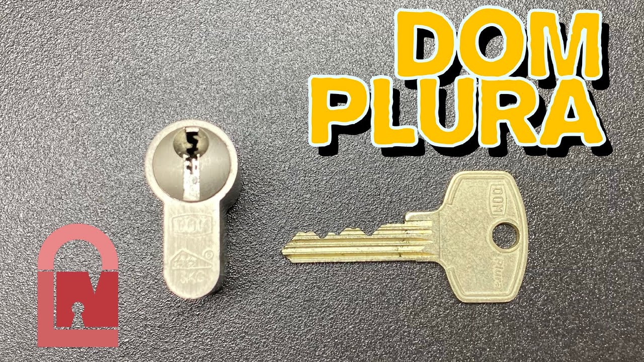 DOM Plura Euro Lock Pick and Gut