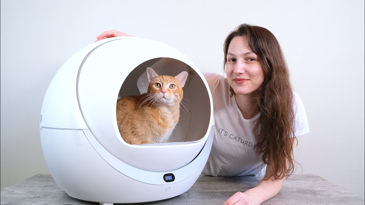 Petree Automatic Self-Cleaning Litter Box Review (We Tried It for 2 Weeks)