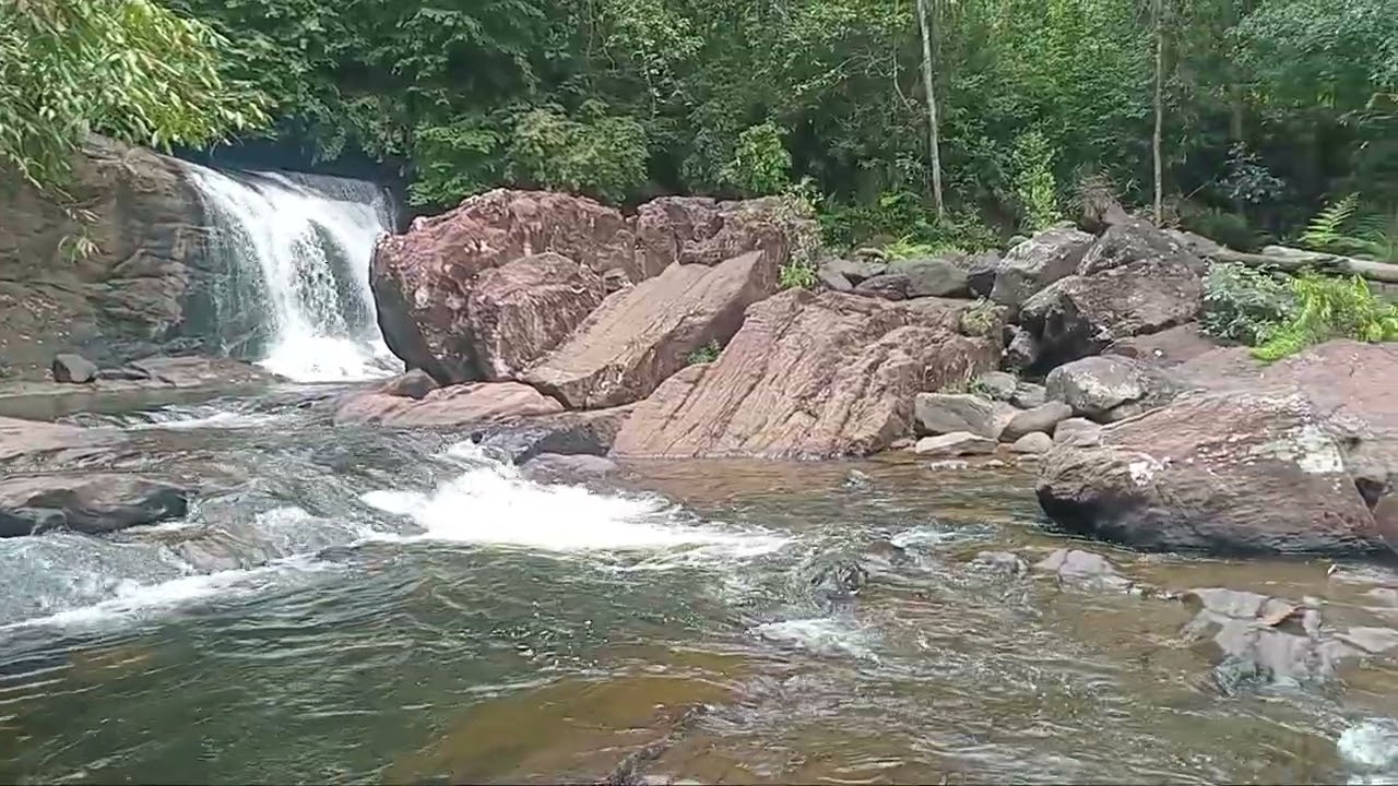 Listen to Nature | Duwili Ella | Kudawa, #Sinharaja #SriLanka