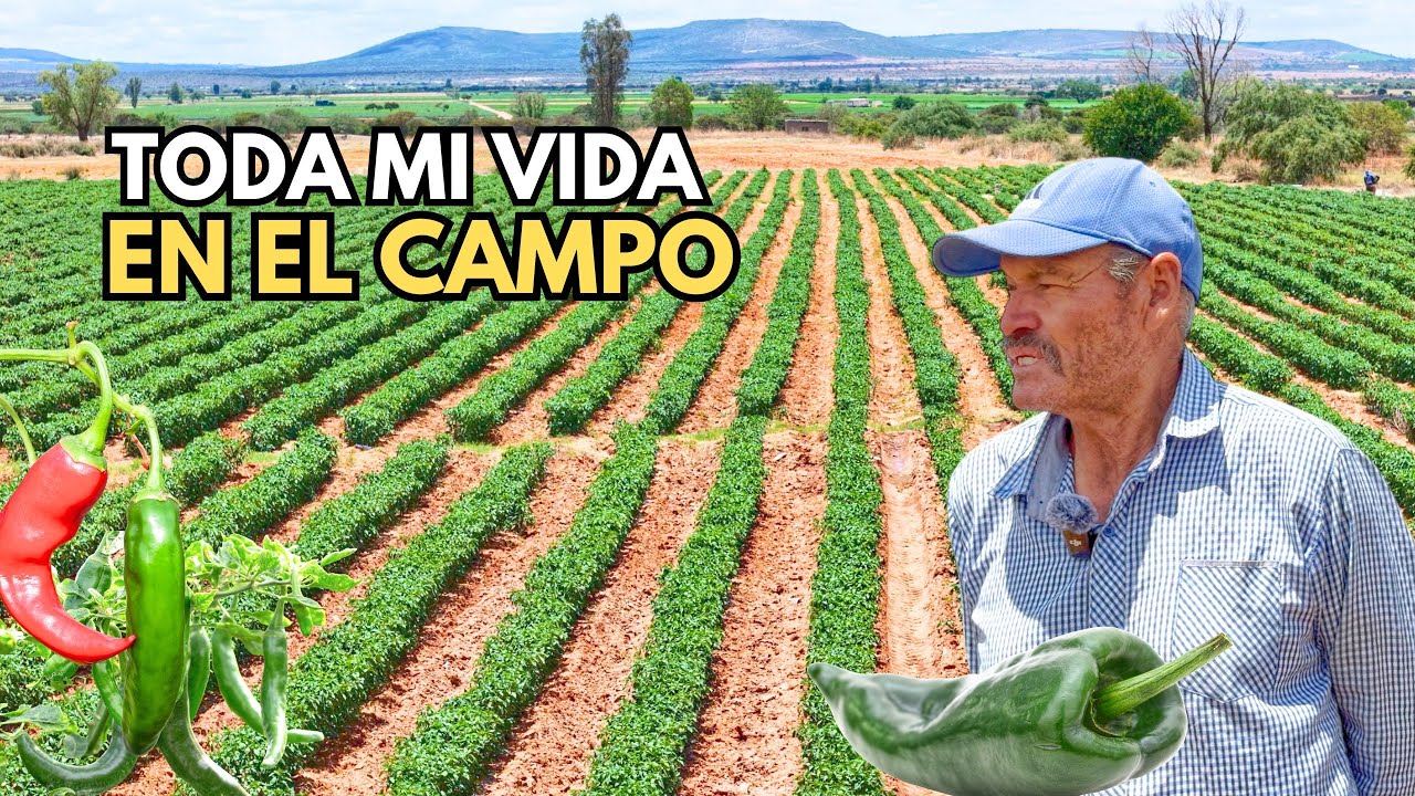 LA MAYOR PARTE DE MI VIDA HA SIDO EN LA AGRICULTURA