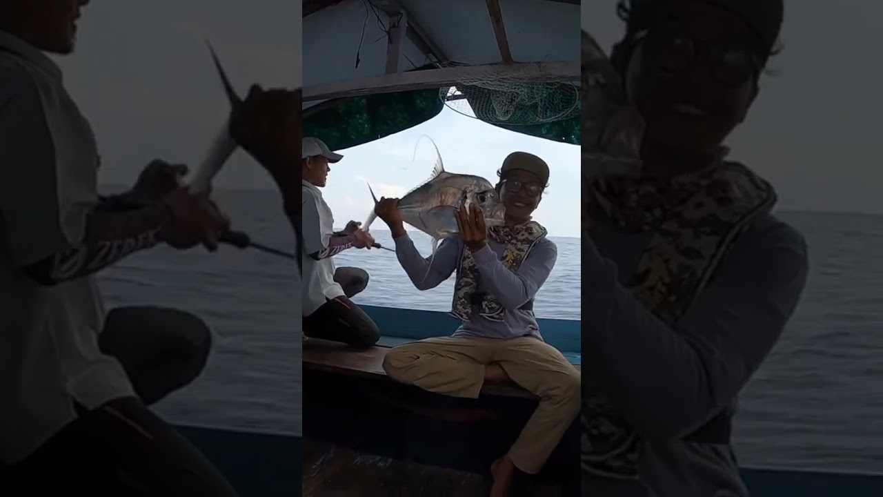 Jigging ebek, mancing teknik jigging