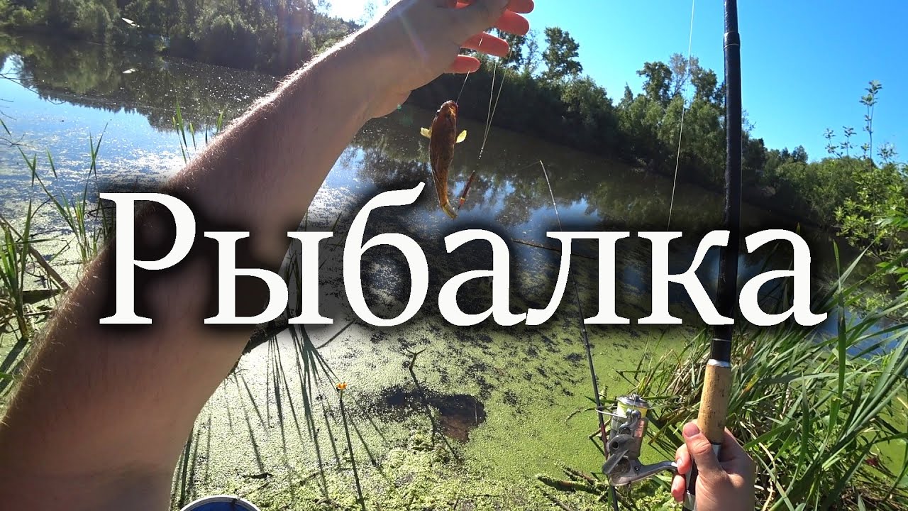 Рыбалка на забытом пруду! 15 лет спустя!Есть ли здесь РЫБА?