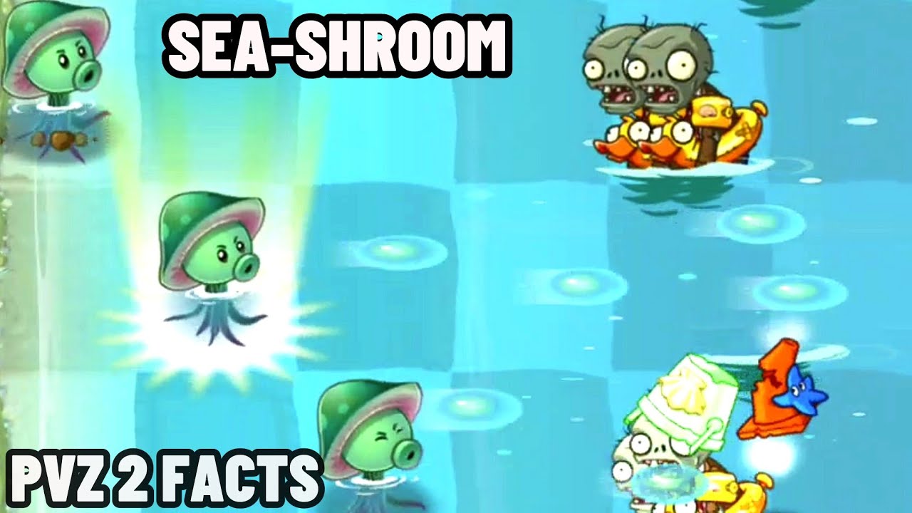 facts about NEW PLANT Sea-shroom from PvZ 2 - Plants vs. Zombies 2