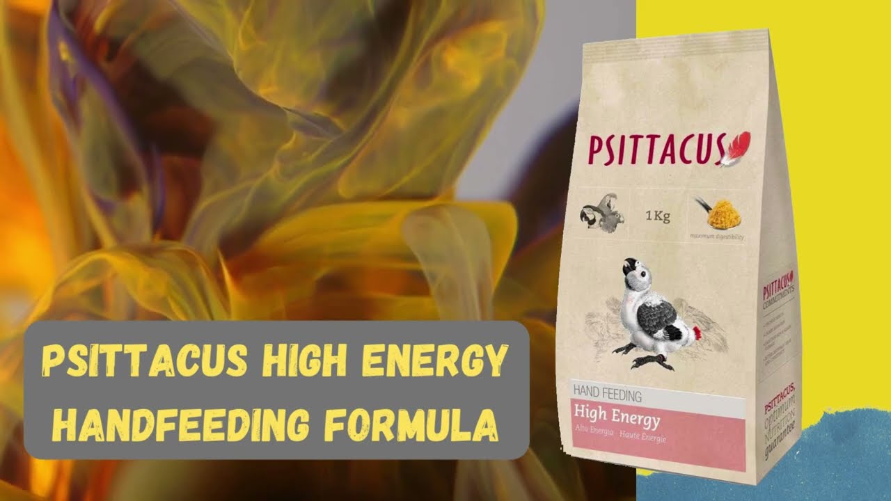 Psittacus High Energy Handfeeding Formula