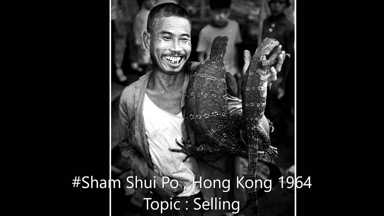 Top 10 Salon Photography that You've never seen