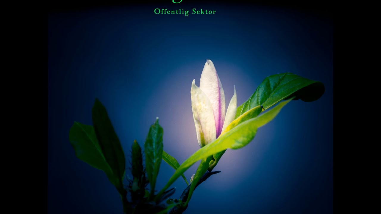 Magnolia - music inspired by the works of Mike Oldfield