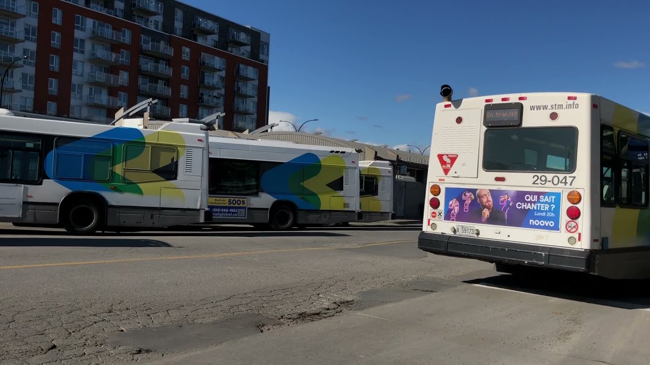 STM-STL Buses in Action - September