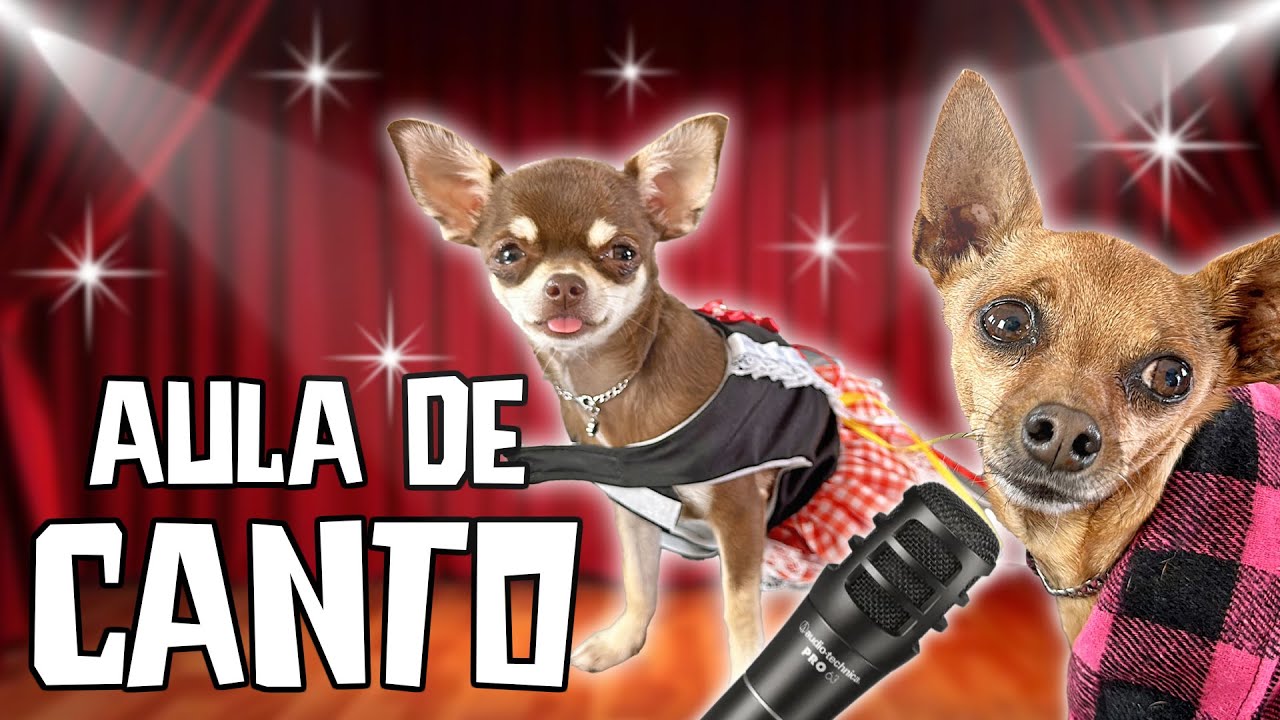 AS AULAS MAIS VISTAS DA ESCOLINHA DOS PEQUENOS PRÍNCIPES + AULA EXCLUSIVA DE CANTO!