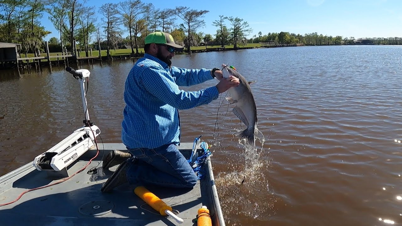 Slinging Them Ole Catfish in the Boat