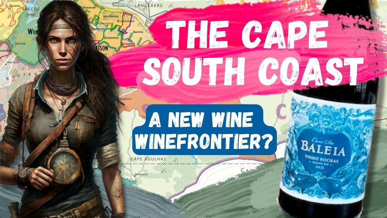 South Africa's New Wine Frontier || Baleia Vinho Rochas 2021 || HanDrinksSolo Wine Video 208