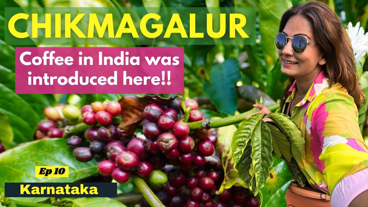 Chikmanglur Coffee Estate | The Most Dangerous Thing I Experienced in Karnataka | Homestay | Ep 10
