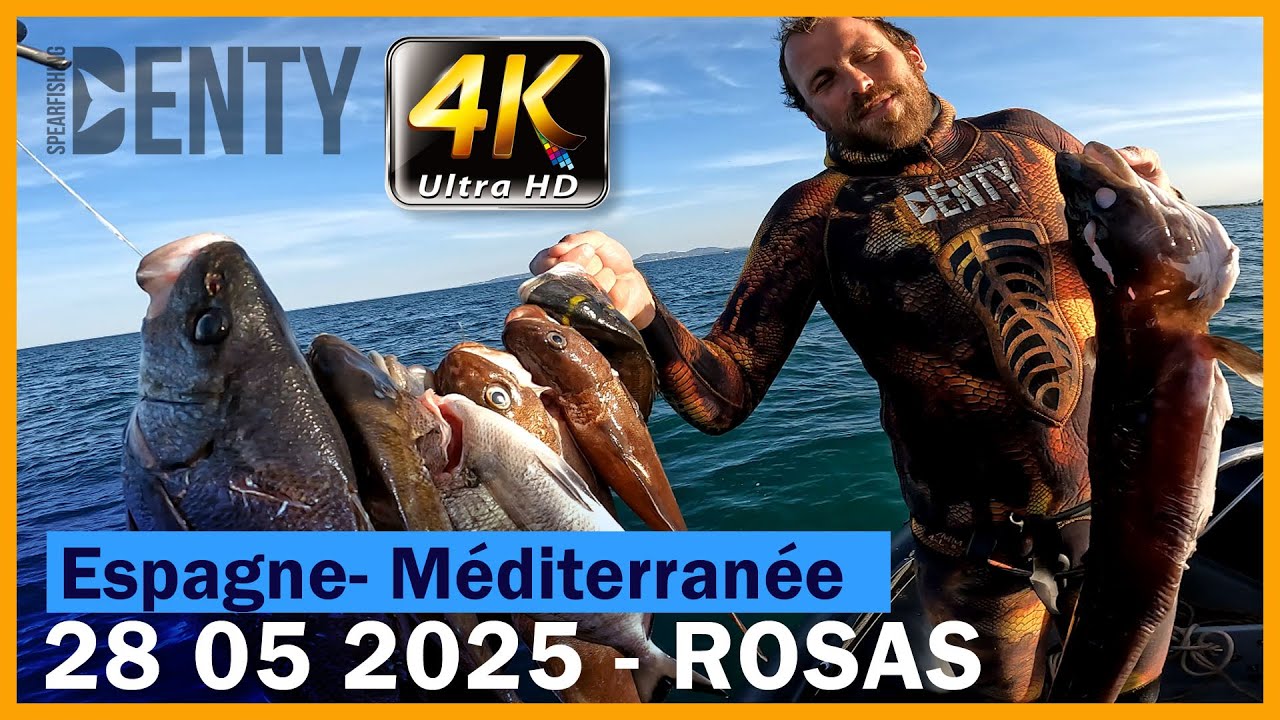 Les Corb, Mostelles Daurade et Congre en Chasse sous-marine au printemps 2025