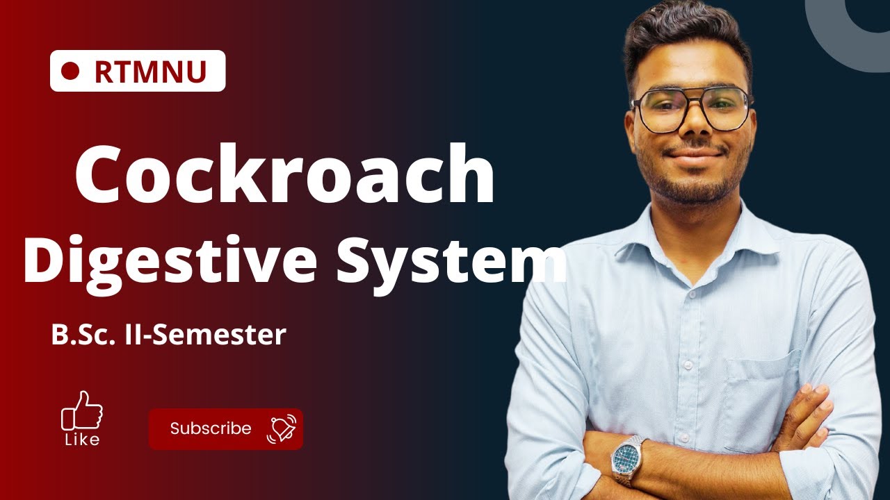 L4 Zoology- B.Sc. II-Semester | Phylum-Arthropoda- Digestive System | Ankush