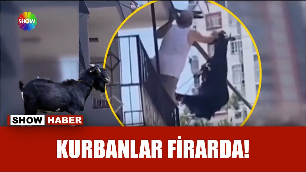 Karada, denizde 