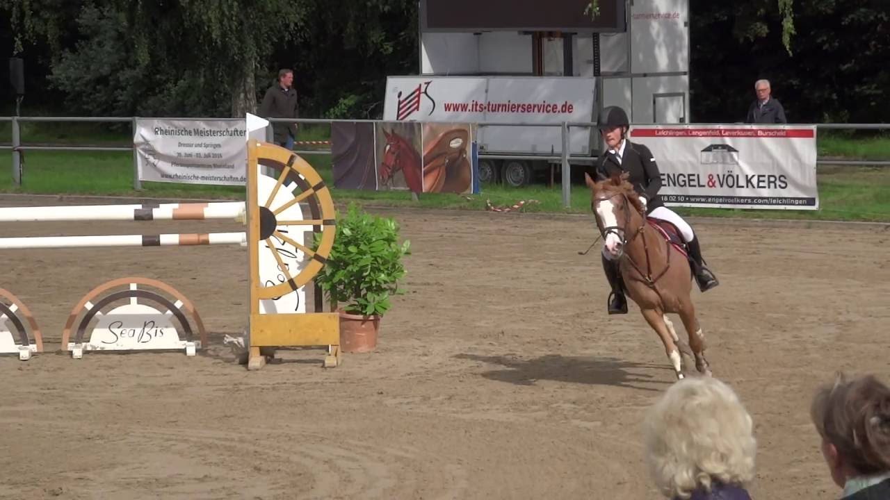Rheinische 2016 Pony M-Springen Polly