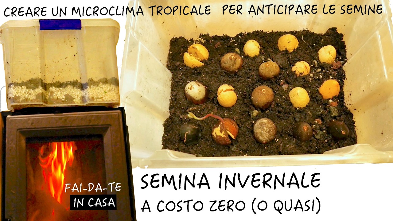 COME FAR GERMINARE I SEMI DURANTE L'INVERNO - CREARE un mini CLIMA TROPICALE ($0) 🌱🔥