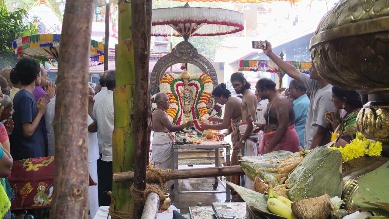 முருகன் தீபாராதனை 🦚🚩 #முருகா #omsaravanabhava #murugantemple #பழனி 