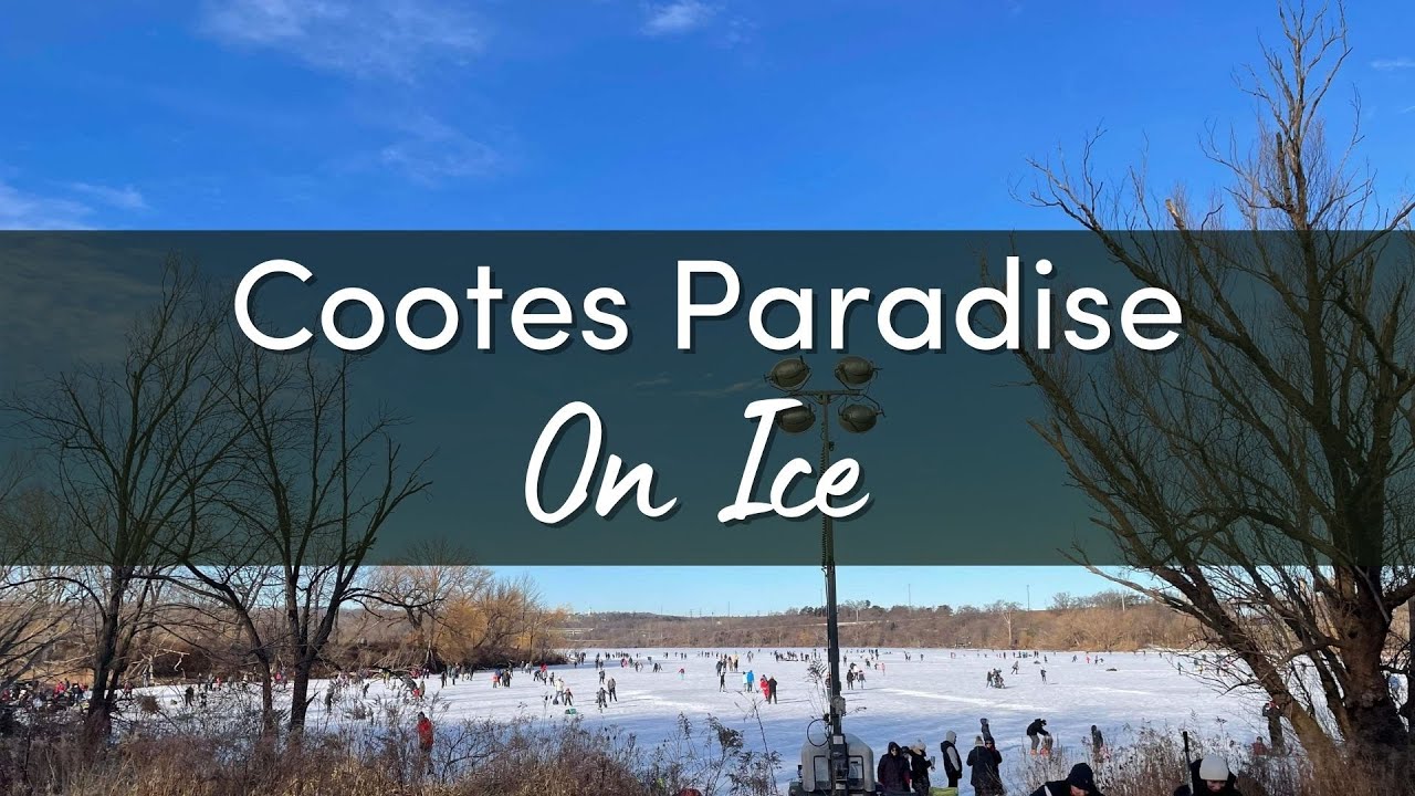 Cootes Paradise on Ice