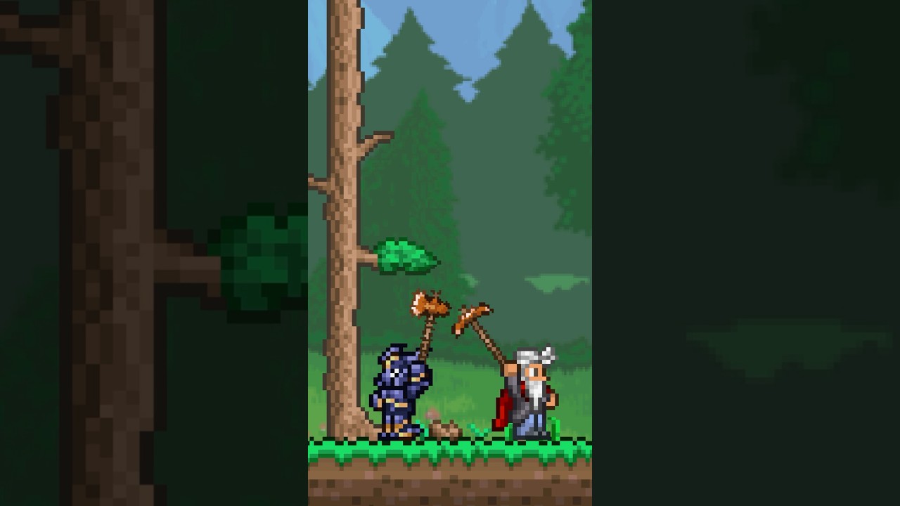 Я играл в 1.4.5 с создателем Terraria