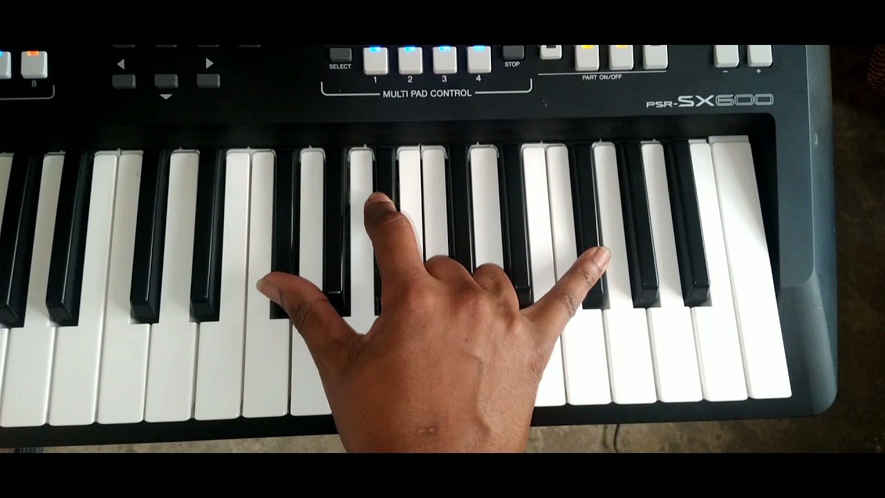 THE BEST SOLO EVER FOR SEBEN TUTORIAL-LEVI PRO
