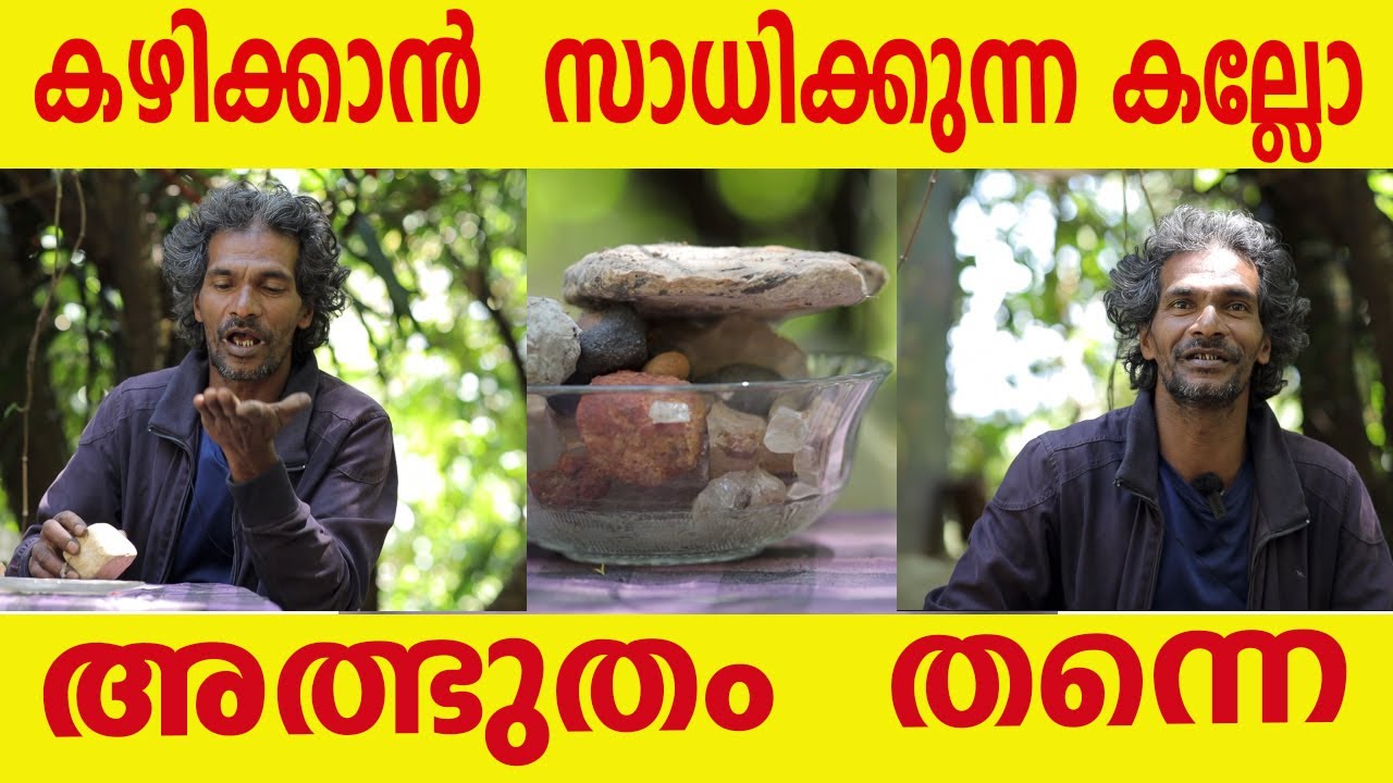 കഴിക്കാൻ  സാധിക്കുന്ന കല്ലോ വനത്തിൽ ഒറ്റക്ക് ജീവിക്കുന്ന വേറിട്ട മനുഷ്യൻ ശ്രീകുമാർ | wayanad |