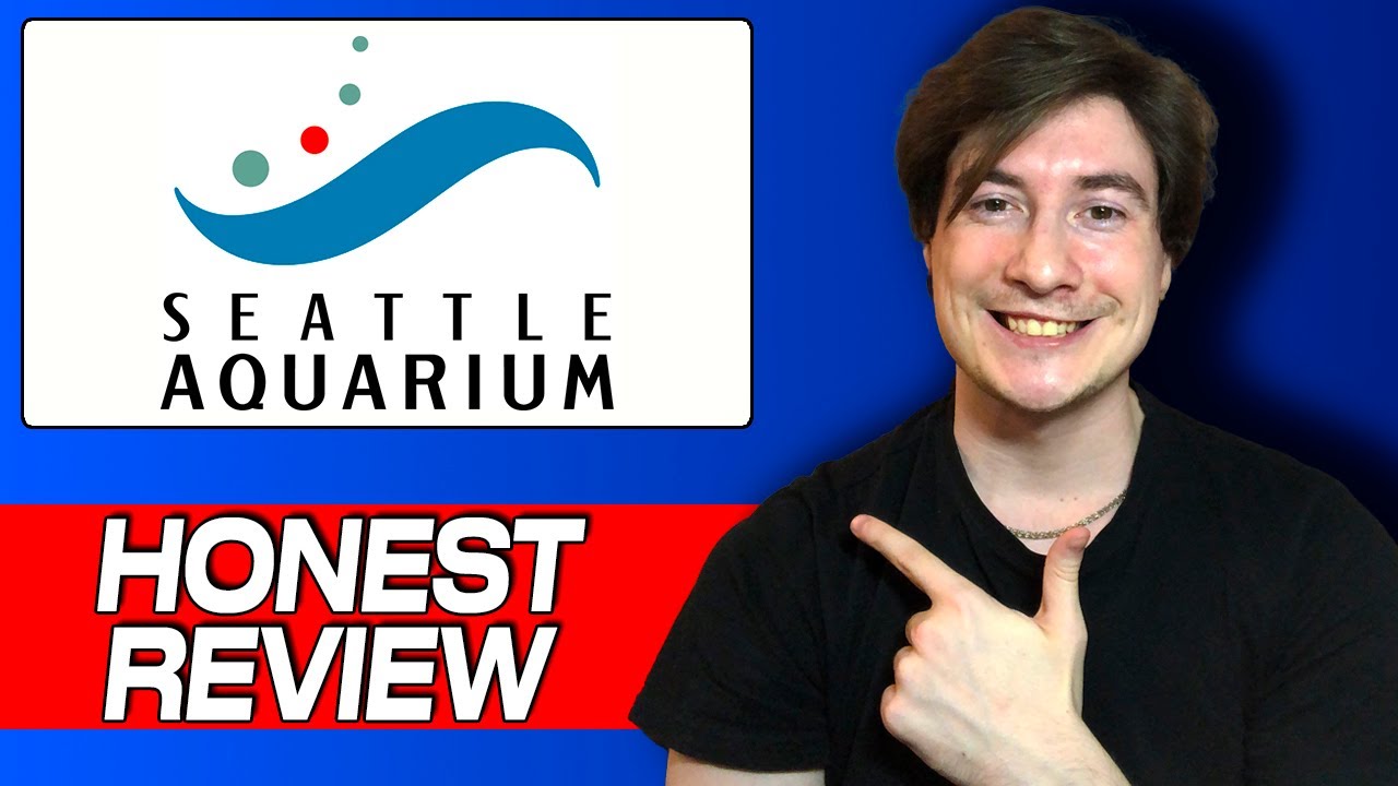 Seattle Aquarium Review: My Honest Experience, Hidden Gems & What You Should Know