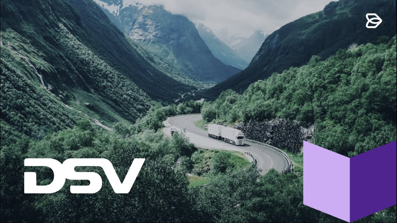 Brand management tools for DSV - Papirfly