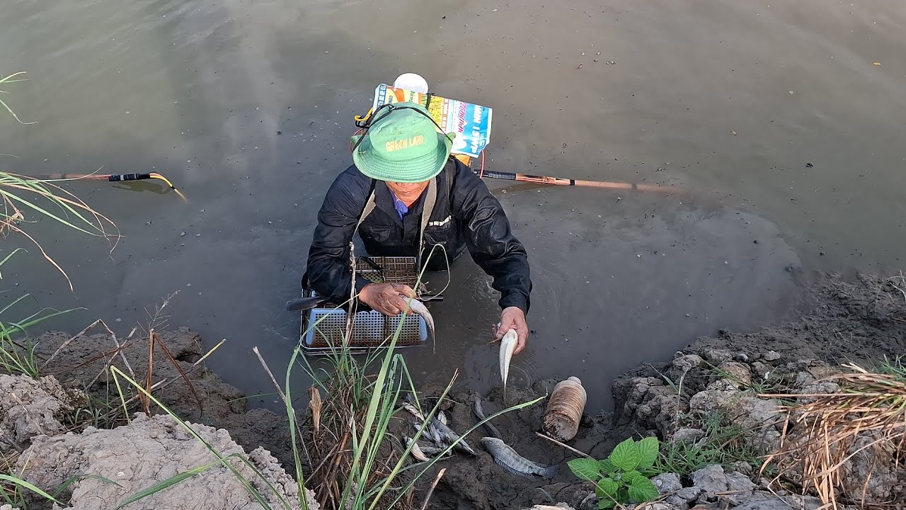 Nay chú sáu đi tét cây 14f cho anh ở Tân Châu An Giang, nay trích dính ổ cá rồi anh em ơi