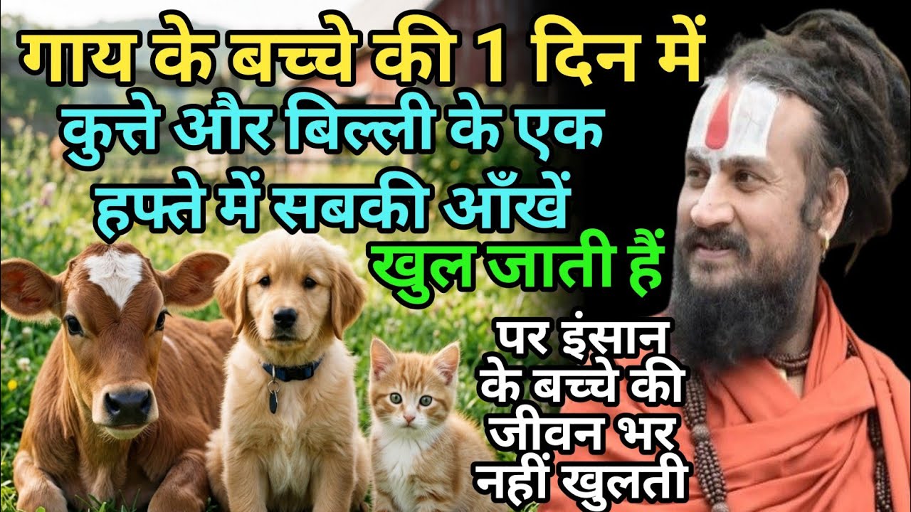 इंसान कभी न सुधरने वाली चीज है दुनिया सुधर जाएगी सब नियम से चलेंगे पर आदमी नहीं | vipin Bihari Das 