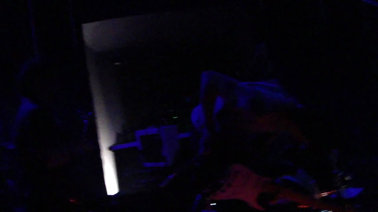 Protistas - Videocámara (Cellar, Enero 2011)