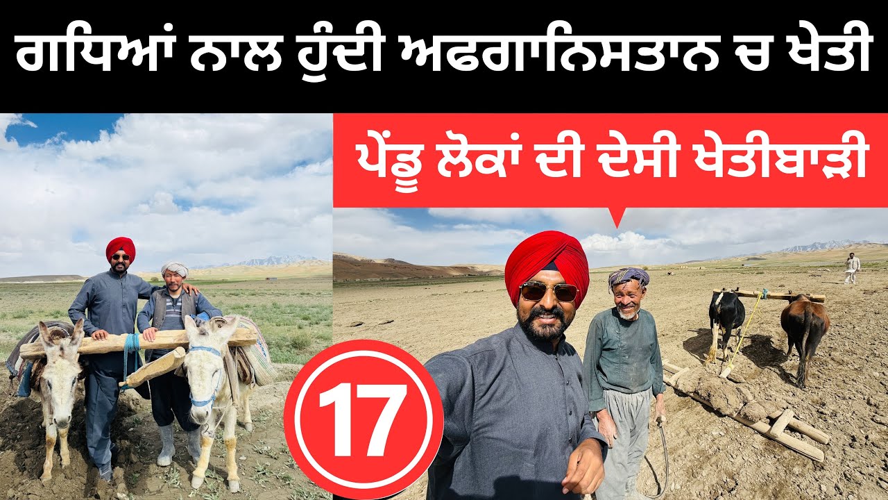 ਗਧਿਆਂ ਨਾਲ ਖੇਤੀ ਕਰਦੇ ਅਫਗਾਨਿਸਤਾਨ ਦੇ ਲੋਕ Old Village life | Punjabi Travel Couple Afghanistan