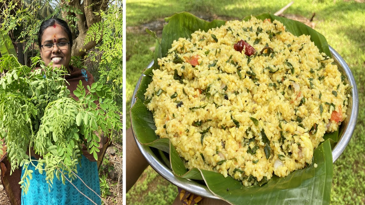 இரும்புசத்து நிறைந்த முருங்கைக்கீரை சாதம் / Fresh Drumstick Leaves Rice /  Food Money Food