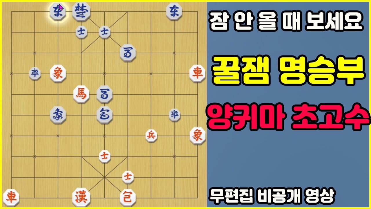 [잠 안 올 때 보세요] 꿀잼 명승부~    (장기)