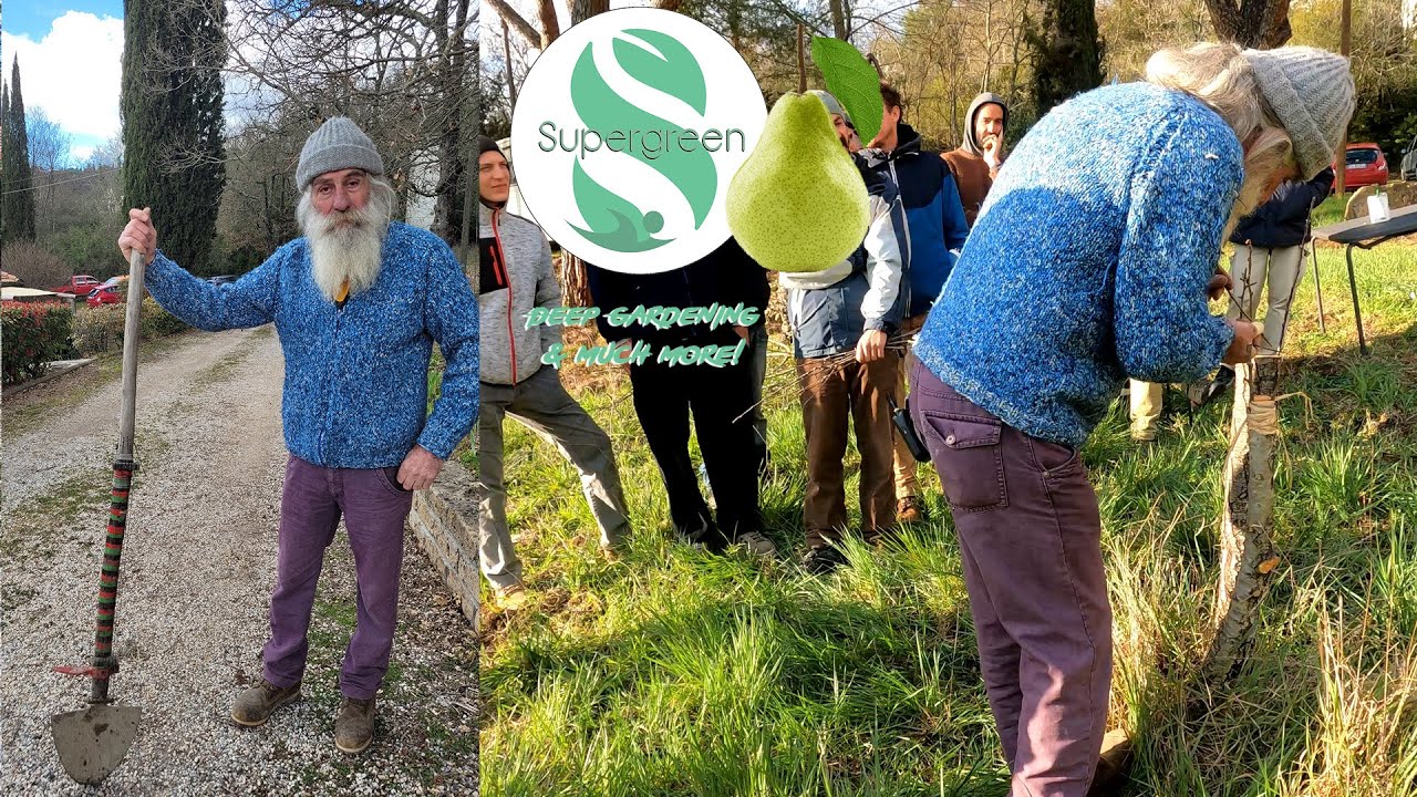 Innesto pero con Ernesto - Agriturismo Santa Lorica, Sassetta