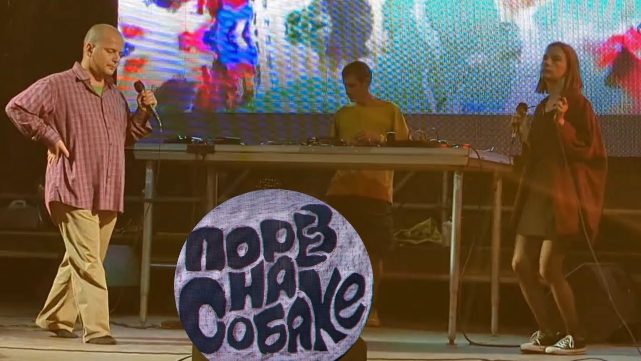 Порез на собаке - Ариведерчи + Бычье Лыко (Протоприкус). 07.08.25