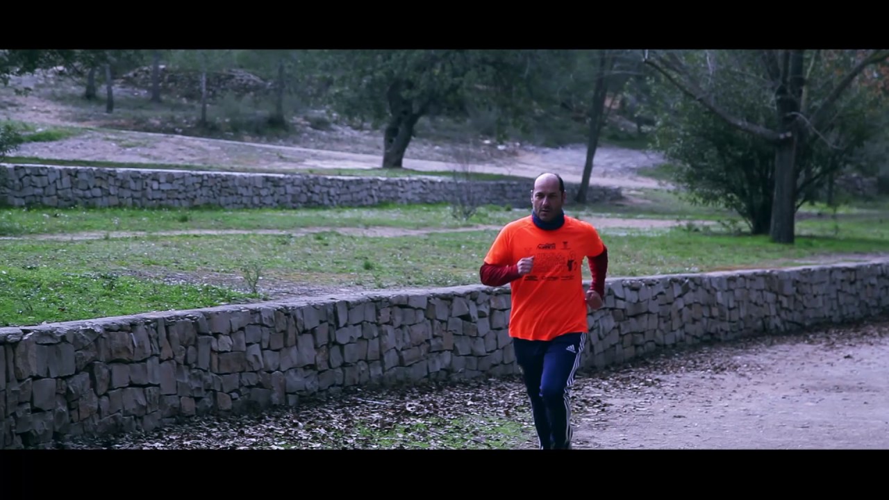 carrera clavaris lliria